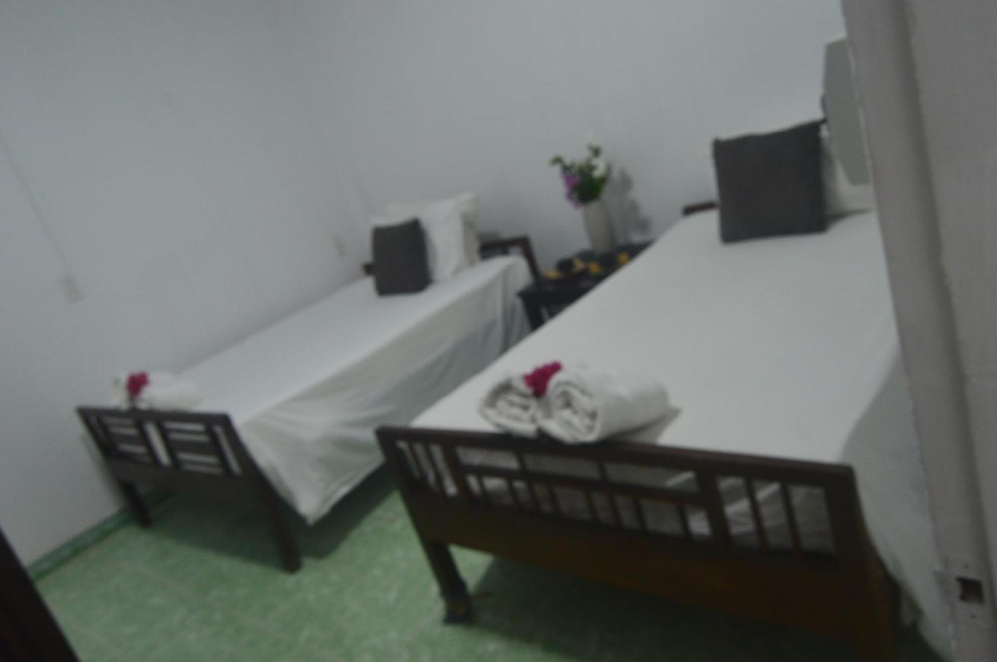 Hoi An Viet House Homestay מראה חיצוני תמונה